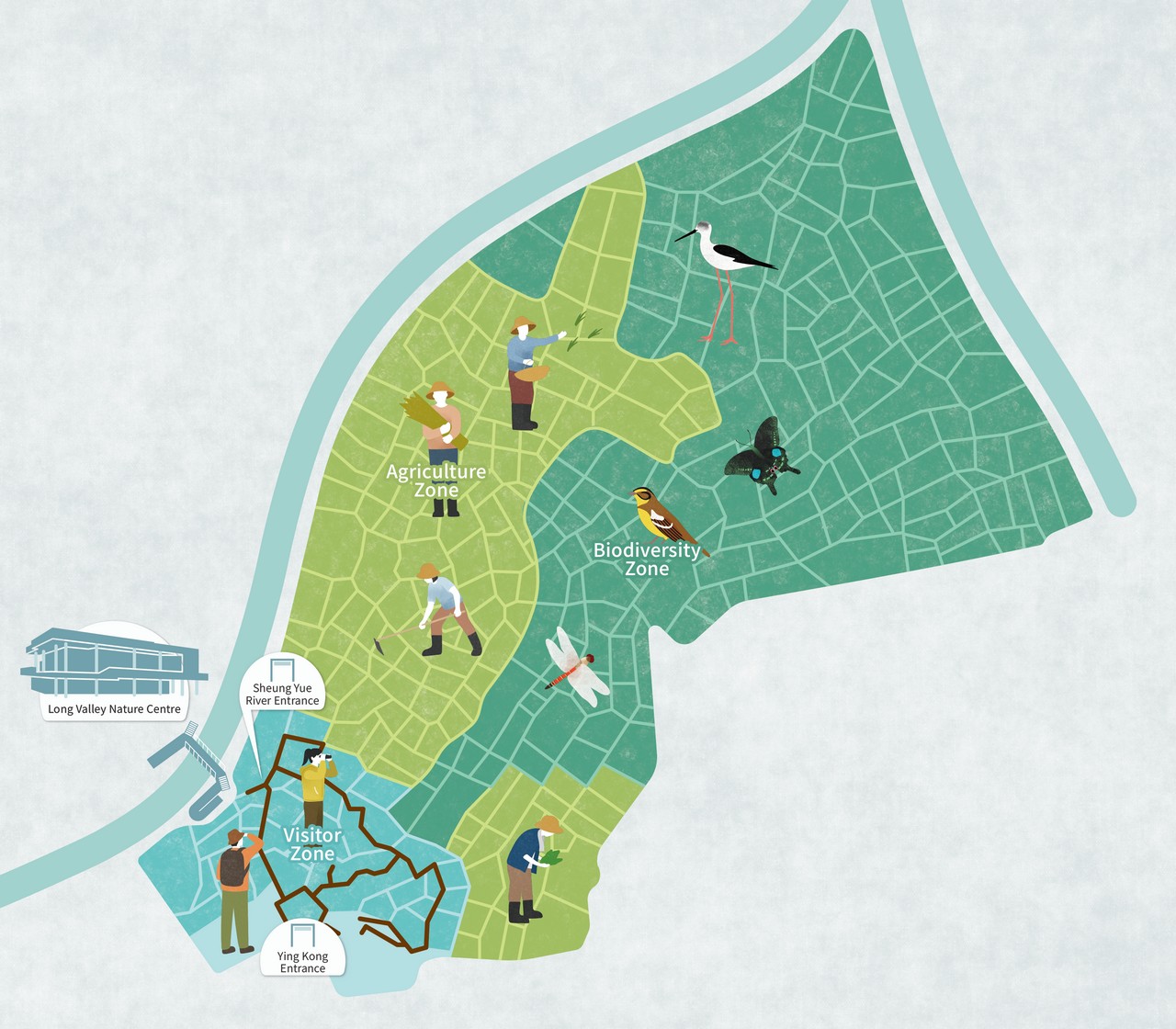 Distribution of the management zones