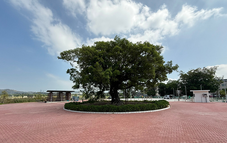 Long Valley Plaza